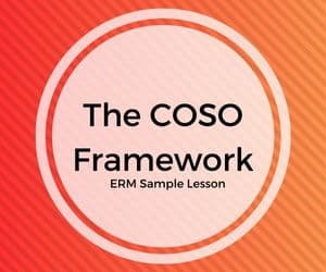 The COSO Framework