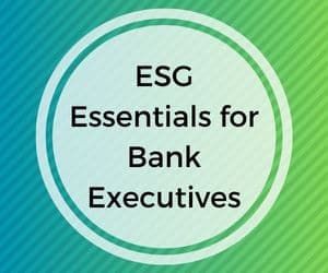 ESG Essentials for Bank Exeeuctives